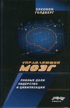 Элхонон Голдберг - Управляющий мозг: Лобные доли, лидерство и цивилизация - Читать 📖 Читать онлайн 👀 Читаемые книги читать онлайн бесплатно 🔥 booksread-online.com