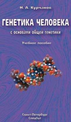 Николай Курчанов - Генетика человека с основами общей генетики. Учебное пособие - Читать | Читать онлайн | Читаемые книги читать онлайн бесплатно | booksread-online.com