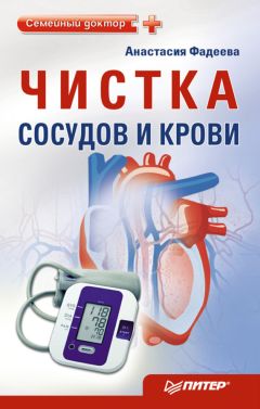 Анастасия Фадеева - Чистка сосудов и крови - Читать 📖 Читать онлайн 👀 Читаемые книги читать онлайн бесплатно 🔥 booksread-online.com