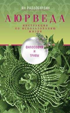 Ян Раздобурдин - Аюрведа. Философия и травы - Читать 📖 Читать онлайн 👀 Читаемые книги читать онлайн бесплатно 🔥 booksread-online.com