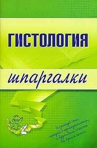 В. Барсуков - Гистология - Читать | Читать онлайн | Читаемые книги читать онлайн бесплатно | booksread-online.com