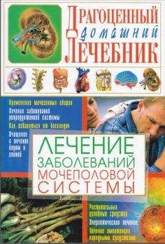 Светлана Мирошниченко - Лечение заболеваний мочеполовой системы - Читать | Читать онлайн | Читаемые книги читать онлайн бесплатно | booksread-online.com