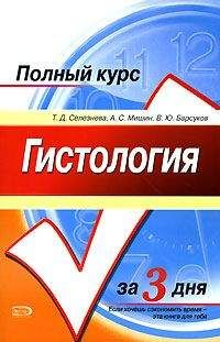 Т. Селезнева - Гистология. Полный курс за 3 дня - Читать | Читать онлайн | Читаемые книги читать онлайн бесплатно | booksread-online.com