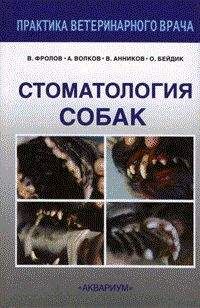 В. Фролов - Стоматология собак - Читать 📖 Читать онлайн 👀 Читаемые книги читать онлайн бесплатно 🔥 booksread-online.com