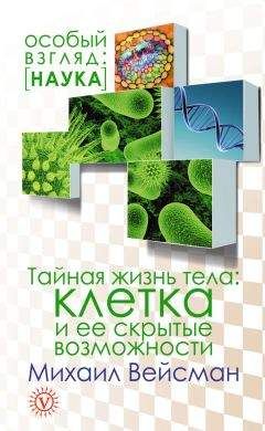 Михаил Вейсман - Тайная жизнь тела. Клетка и ее скрытые возможности - Читать | Читать онлайн | Читаемые книги читать онлайн бесплатно | booksread-online.com