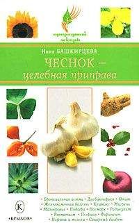 Нина Башкирцева - Чеснок – целебная приправа - Читать 📖 Читать онлайн 👀 Читаемые книги читать онлайн бесплатно 🔥 booksread-online.com