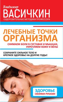 Владимир Васичкин - Лечебные точки организма: снимаем боли в суставах и мышцах, укрепляем кожу, вены, сон и иммунитет - Читать | Читать онлайн | Читаемые книги читать онлайн бесплатно | booksread-online.com