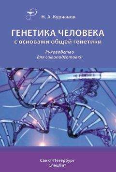 Николай Курчанов - Генетика человека с основами общей генетики. Руководство для самоподготовки - Читать 📖 Читать онлайн 👀 Читаемые книги читать онлайн бесплатно 🔥 booksread-online.com