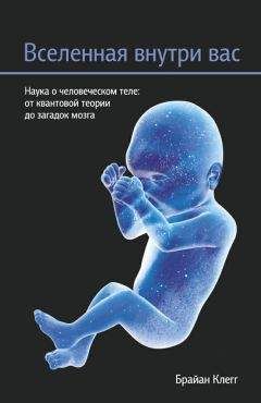 Брайан Клегг - Вселенная внутри вас - Читать 📖 Читать онлайн 👀 Читаемые книги читать онлайн бесплатно 🔥 booksread-online.com