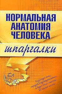 Максим Кабков - Нормальная анатомия человека - Читать 📖 Читать онлайн 👀 Читаемые книги читать онлайн бесплатно 🔥 booksread-online.com