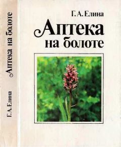 Галина Елина - Аптека на болоте - Читать 📖 Читать онлайн 👀 Читаемые книги читать онлайн бесплатно 🔥 booksread-online.com