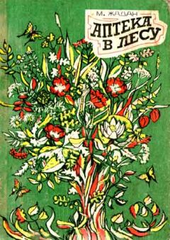 Максим Жадан - Аптека в лесу - Читать 📖 Читать онлайн 👀 Читаемые книги читать онлайн бесплатно 🔥 booksread-online.com