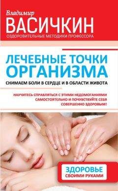 Владимир Васичкин - Лечебные точки организма: снимаем боли в сердце и в области живота - Читать 📖 Читать онлайн 👀 Читаемые книги читать онлайн бесплатно 🔥 booksread-online.com