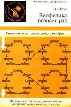 Инал Акоев - Биофизика познает рак - Читать | Читать онлайн | Читаемые книги читать онлайн бесплатно | booksread-online.com