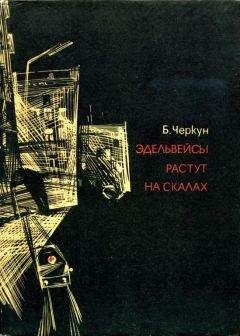 Борис Черкун - Эдельвейсы растут на скалах - Читать | Читать онлайн | Читаемые книги читать онлайн бесплатно | booksread-online.com