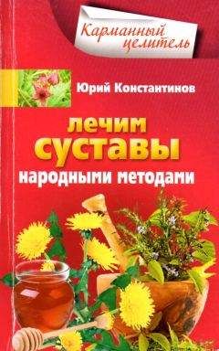 Юрий Константинов - Лечим суставы народными методами - Читать 📖 Читать онлайн 👀 Читаемые книги читать онлайн бесплатно 🔥 booksread-online.com