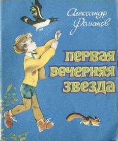 Александр Романов - Первая Вечерняя Звезда - Читать 📖 Читать онлайн 👀 Читаемые книги читать онлайн бесплатно 🔥 booksread-online.com