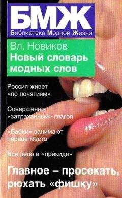 Владимир Новиков - Новый словарь модных слов - Читать 📖 Читать онлайн 👀 Читаемые книги читать онлайн бесплатно 🔥 booksread-online.com