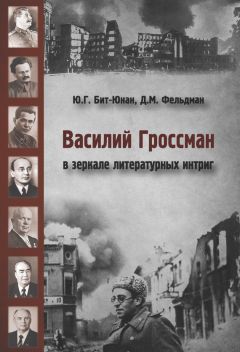 Юрий Бит-Юнан - Василий Гроссман в зеркале литературных интриг - Читать 📖 Читать онлайн 👀 Читаемые книги читать онлайн бесплатно 🔥 booksread-online.com