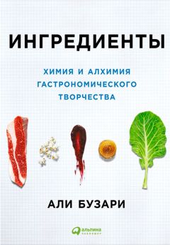 Али Бузари - Ингредиенты: Химия и алхимия гастрономического творчества - Читать 📖 Читать онлайн 👀 Читаемые книги читать онлайн бесплатно 🔥 booksread-online.com