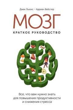 Джек Льюис - Мозг: краткое руководство. Все, что вам нужно знать для повышения эффективности и снижения стресса - Читать | Читать онлайн | Читаемые книги читать онлайн бесплатно | booksread-online.com