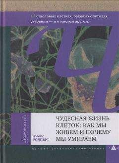 Льюис Уолперт - Чудесная жизнь клеток: как мы живем и почему мы умираем - Читать 📖 Читать онлайн 👀 Читаемые книги читать онлайн бесплатно 🔥 booksread-online.com