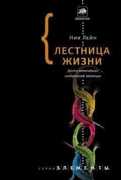 Ник Лейн - Лестница жизни. Десять величайших изобретений эволюции - Читать 📖 Читать онлайн 👀 Читаемые книги читать онлайн бесплатно 🔥 booksread-online.com