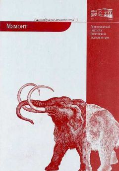 Алексей Тихонов - Мамонт - Читать 📖 Читать онлайн 👀 Читаемые книги читать онлайн бесплатно 🔥 booksread-online.com