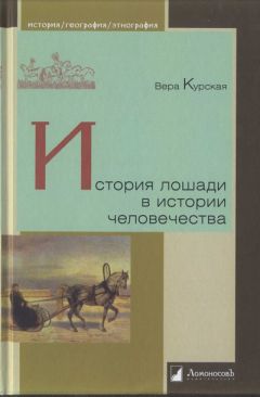 Вера Курская - История лошади в истории человечества - Читать 📖 Читать онлайн 👀 Читаемые книги читать онлайн бесплатно 🔥 booksread-online.com