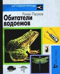 Роман Ласуков - Обитатели водоемов - Читать 📖 Читать онлайн 👀 Читаемые книги читать онлайн бесплатно 🔥 booksread-online.com