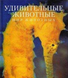 Эндрю Клив - Удивительные животные - Читать 📖 Читать онлайн 👀 Читаемые книги читать онлайн бесплатно 🔥 booksread-online.com