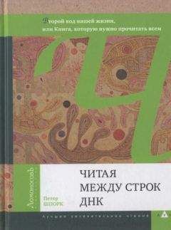 Петер Шпорк - Читая между строк ДНК. Второй код нашей жизни, или Книга, которую нужно прочитать всем - Читать | Читать онлайн | Читаемые книги читать онлайн бесплатно | booksread-online.com