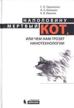 Сергей Тараненко - Наполовину мертвый кот, или Чем нам грозят нанотехнологии - Читать 📖 Читать онлайн 👀 Читаемые книги читать онлайн бесплатно 🔥 booksread-online.com