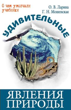 Оксана Ларина - Удивительные явления природы - Читать 📖 Читать онлайн 👀 Читаемые книги читать онлайн бесплатно 🔥 booksread-online.com