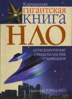 Дженни Рэндлиз - НЛО. Сенсационные свидетельства очевидцев - Читать | Читать онлайн | Читаемые книги читать онлайн бесплатно | booksread-online.com