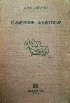 Э. Ланкестер - Вымершие животные - Читать 📖 Читать онлайн 👀 Читаемые книги читать онлайн бесплатно 🔥 booksread-online.com