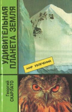 Георгий Скарлато - Удивительная планета Земля. География: тайны и открытия - Читать 📖 Читать онлайн 👀 Читаемые книги читать онлайн бесплатно 🔥 booksread-online.com