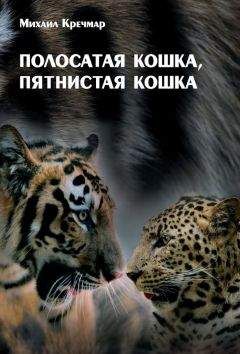 Михаил Кречмар - Полосатая кошка, пятнистая кошка - Читать 📖 Читать онлайн 👀 Читаемые книги читать онлайн бесплатно 🔥 booksread-online.com