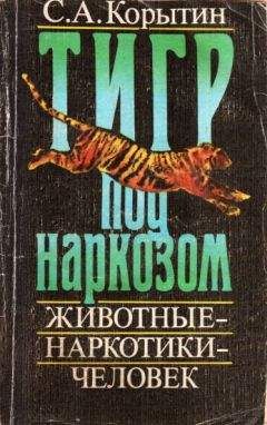 С Корыткин - Тигр под наркозом - Читать 📖 Читать онлайн 👀 Читаемые книги читать онлайн бесплатно 🔥 booksread-online.com