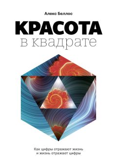 Алекс Беллос - Красота в квадрате. Как цифры отражают жизнь и жизнь отражает цифры - Читать 📖 Читать онлайн 👀 Читаемые книги читать онлайн бесплатно 🔥 booksread-online.com