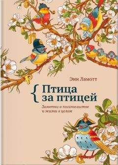 Энн Ламотт - Птица за птицей. Заметки о писательстве и жизни в целом - Читать 📖 Читать онлайн 👀 Читаемые книги читать онлайн бесплатно 🔥 booksread-online.com