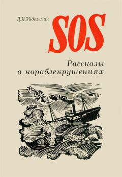 Давид Эйдельман - SOS - Читать 📖 Читать онлайн 👀 Читаемые книги читать онлайн бесплатно 🔥 booksread-online.com