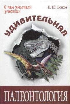 Кирилл Еськов - Удивительная палеонтология - Читать 📖 Читать онлайн 👀 Читаемые книги читать онлайн бесплатно 🔥 booksread-online.com