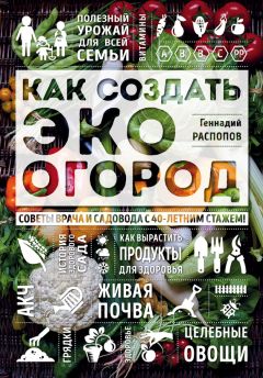 Геннадий Распопов - Как создать эко огород. Советы врача и садовода с 40-летним стажем! - Читать 📖 Читать онлайн 👀 Читаемые книги читать онлайн бесплатно 🔥 booksread-online.com