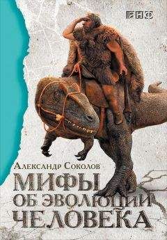 Александр Соколов - Мифы об эволюции человека - Читать 📖 Читать онлайн 👀 Читаемые книги читать онлайн бесплатно 🔥 booksread-online.com