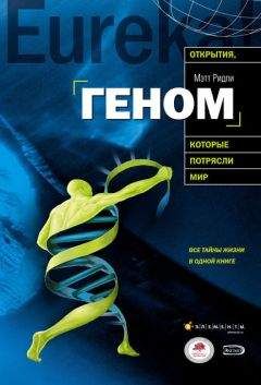 Мэтт Ридли - Геном: автобиография вида в 23 главах - Читать 📖 Читать онлайн 👀 Читаемые книги читать онлайн бесплатно 🔥 booksread-online.com