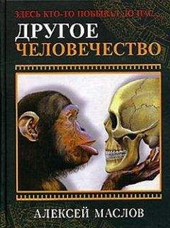 Алексей Маслов - Другое человечество. Здесь кто-то побывал до нас... - Читать 📖 Читать онлайн 👀 Читаемые книги читать онлайн бесплатно 🔥 booksread-online.com