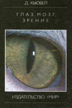 Дэвид Хьюбел - Глаз, мозг, зрение - Читать 📖 Читать онлайн 👀 Читаемые книги читать онлайн бесплатно 🔥 booksread-online.com