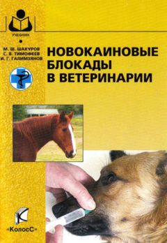 Мухаметфатих Шакуров - Новокаиновые блокады в ветеринарии - Читать | Читать онлайн | Читаемые книги читать онлайн бесплатно | booksread-online.com