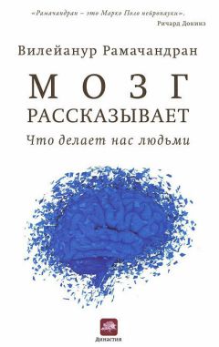 Вилейанур Рамачандран - Мозг рассказывает. Что делает нас людьми - Читать 📖 Читать онлайн 👀 Читаемые книги читать онлайн бесплатно 🔥 booksread-online.com